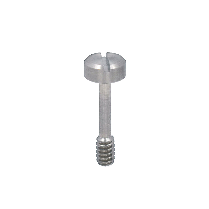 captive screw