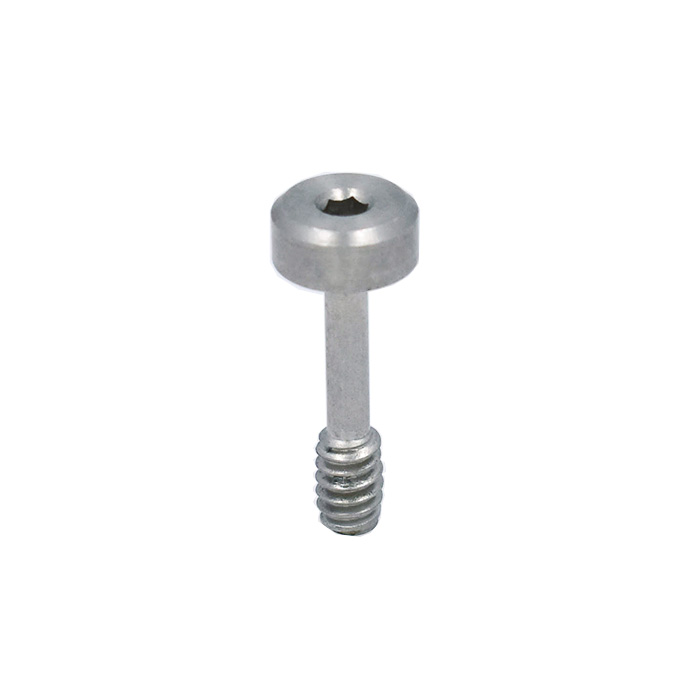 captive screw